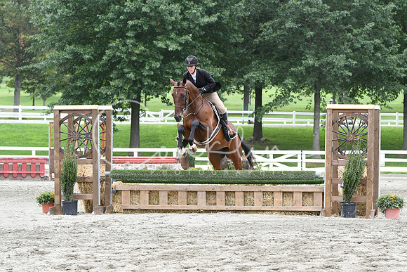 HSM_3647