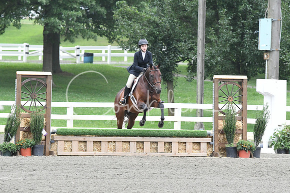 HSM_2187