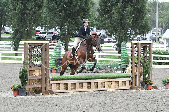 HSM_2188