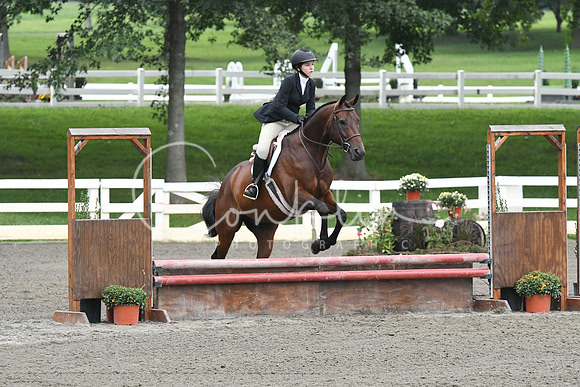 HSM_2193