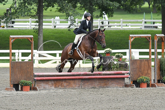 HSM_2194