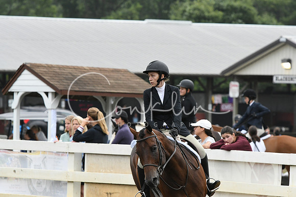 HSM_2195