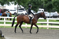HSM_2196