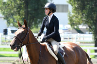 HSM_0234