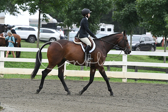 HSM_2197