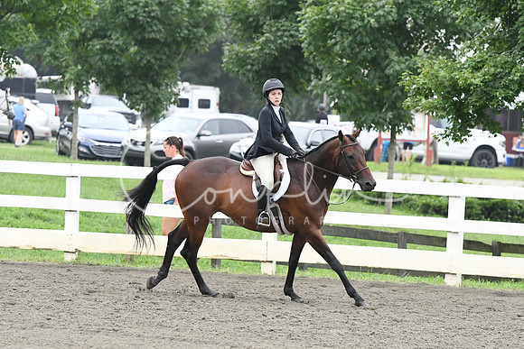 HSM_2234