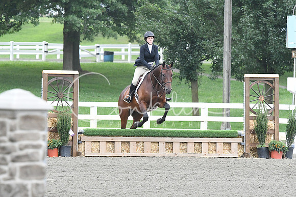 HSM_2238
