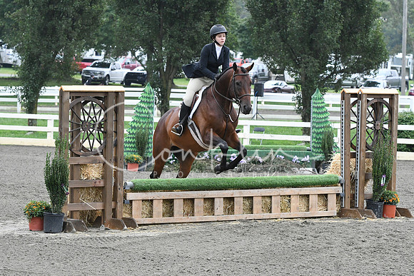 HSM_2297