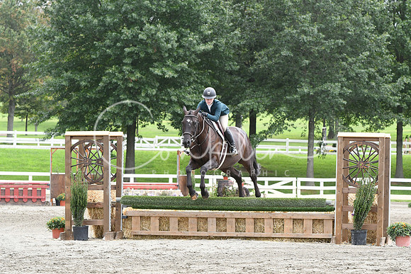 HSM_3516