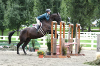 HSM_3520