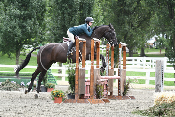 HSM_3521