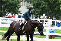HSM_3527