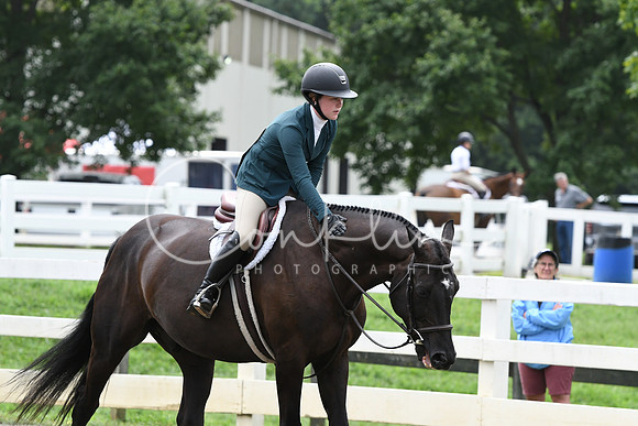 HSM_3527