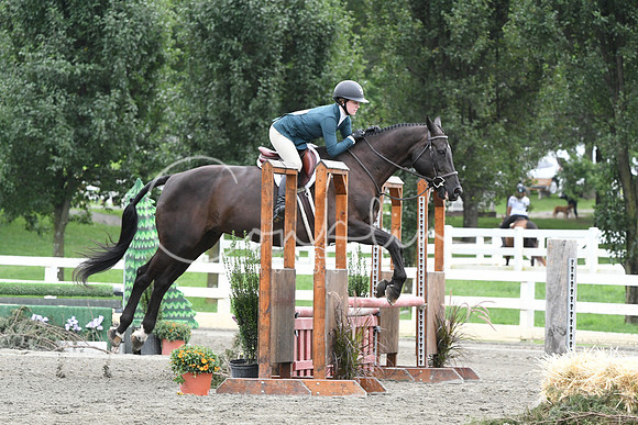 HSM_3565