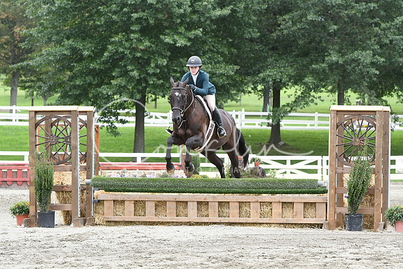 HSM_3628