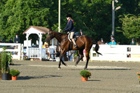 HSM_9331