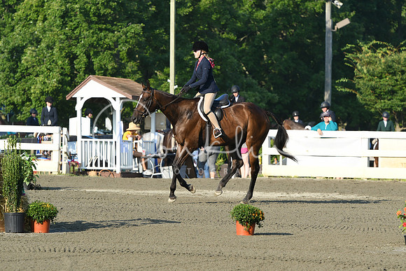 HSM_9331