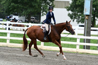 HSM_2705