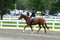 HSM_2719