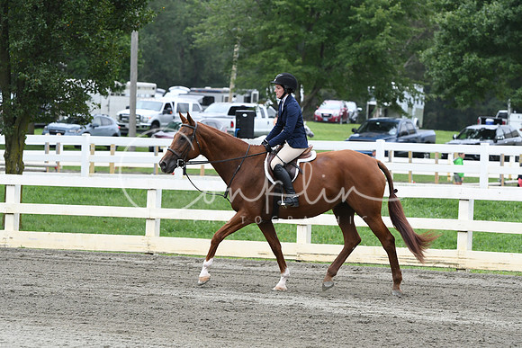 HSM_2719