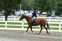 HSM_2720