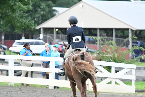 HSM_1062