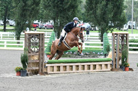 HSM_1067