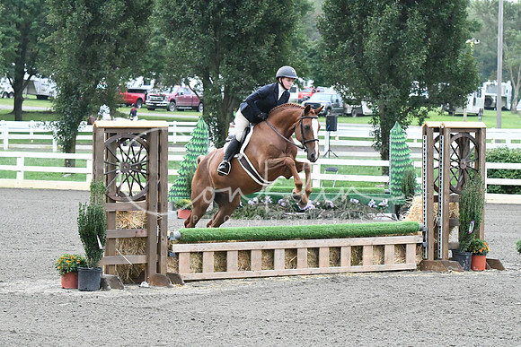 HSM_1067