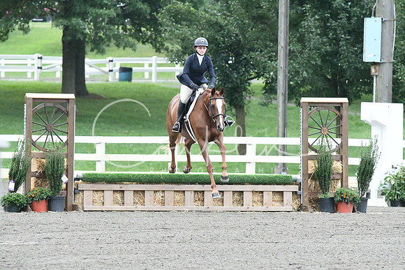 HSM_1066