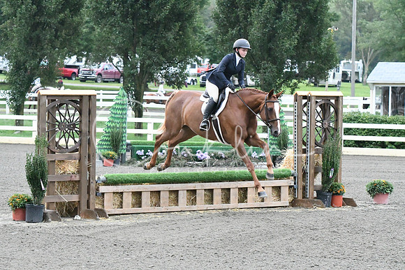 HSM_1069