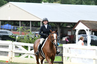HSM_1076