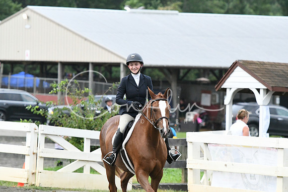 HSM_1076