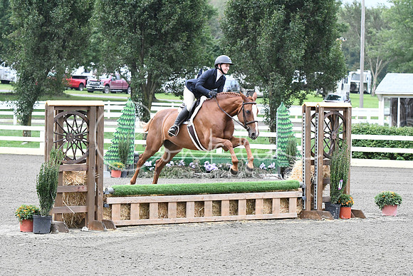 HSM_1139