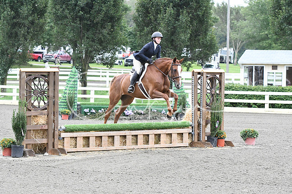 HSM_1193