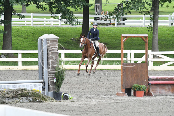 HSM_1195
