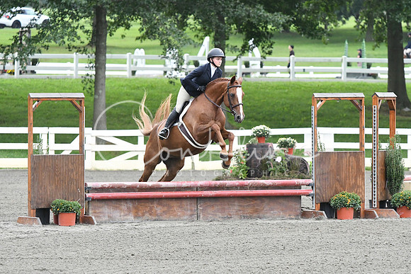 HSM_1196