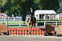 HSM_9554