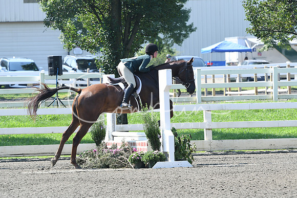 HSM_0209