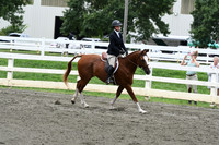 HSM_2853