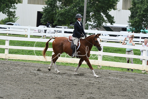 HSM_2853
