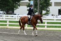 HSM_2858