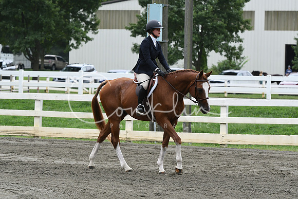 HSM_2858