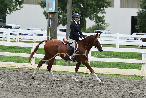 HSM_2902