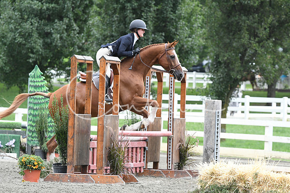HSM_2906