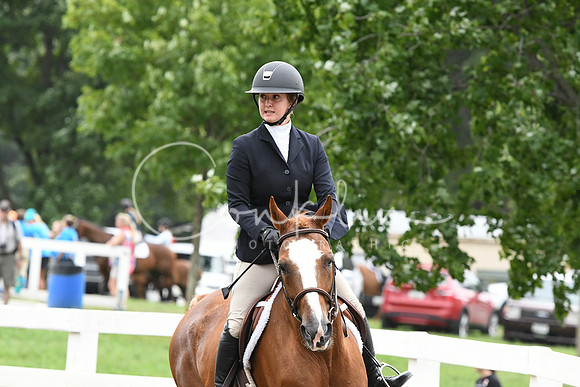 HSM_2910