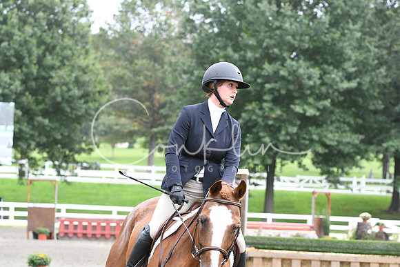 HSM_2917