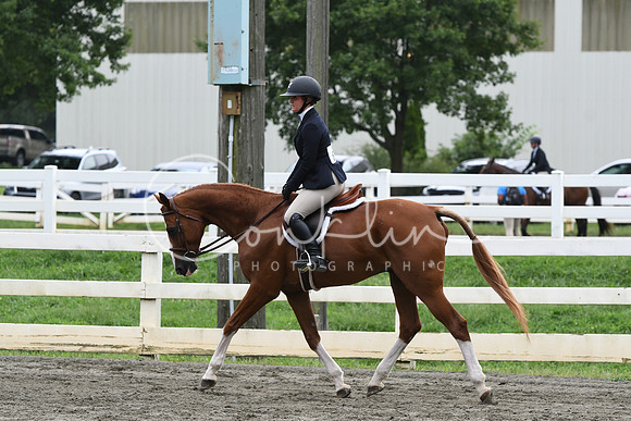 HSM_2918