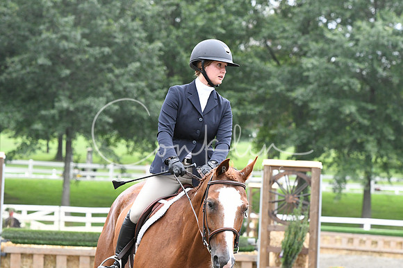 HSM_2966