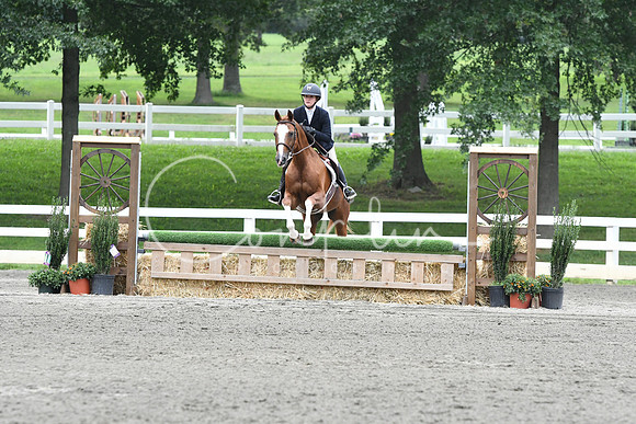 HSM_2968