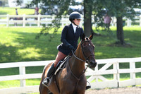 HSM_0431